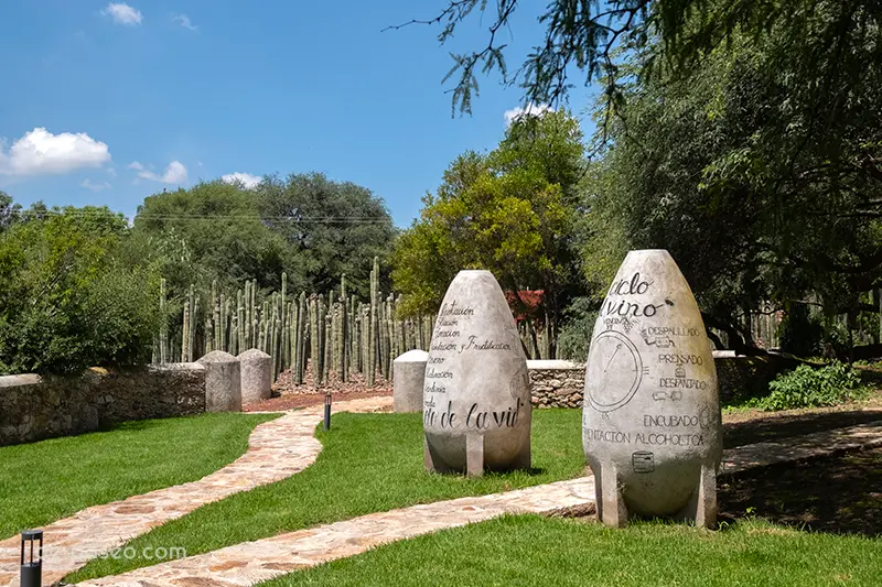 Comienzos de la finca