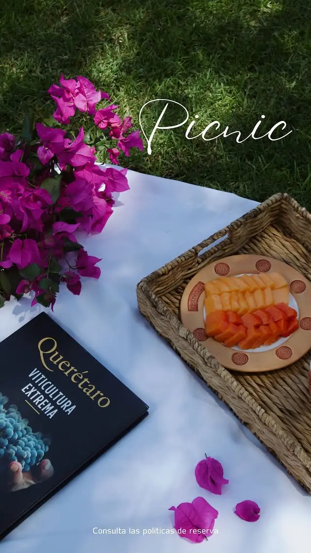 Picnic en la Naturaleza