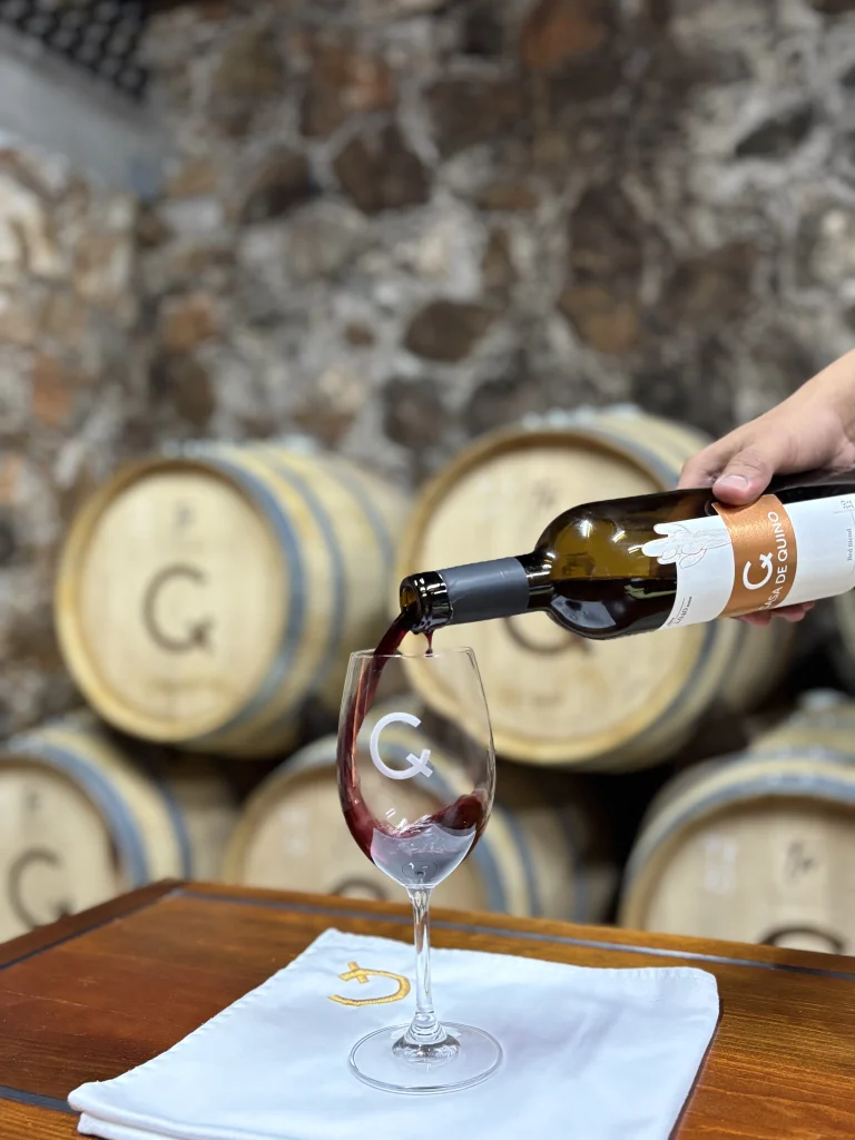 Ruta del Vino